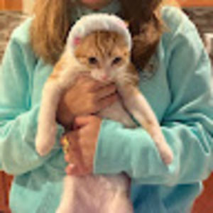 Meet your Posher, Alexander